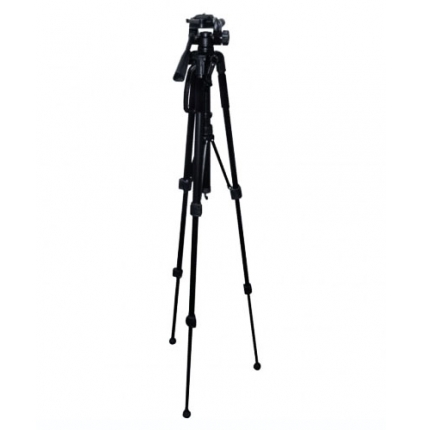 VIV-VPT-2457