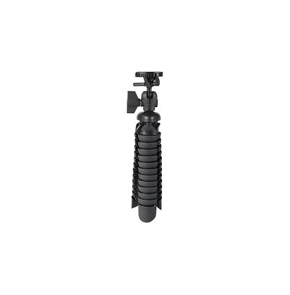 VIV-SP-12