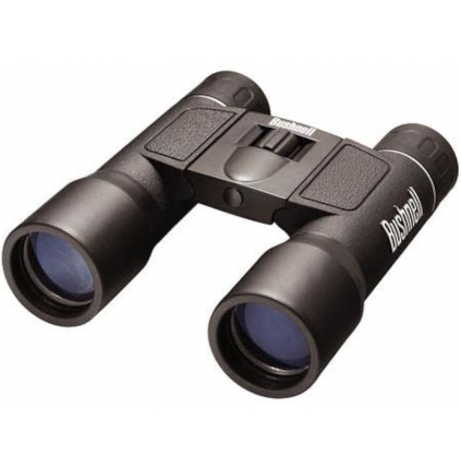 BUSH-PWV821