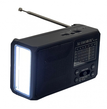 DOLPHIN-ABX-RX-12BT