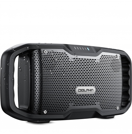 DOLPHIN-S100